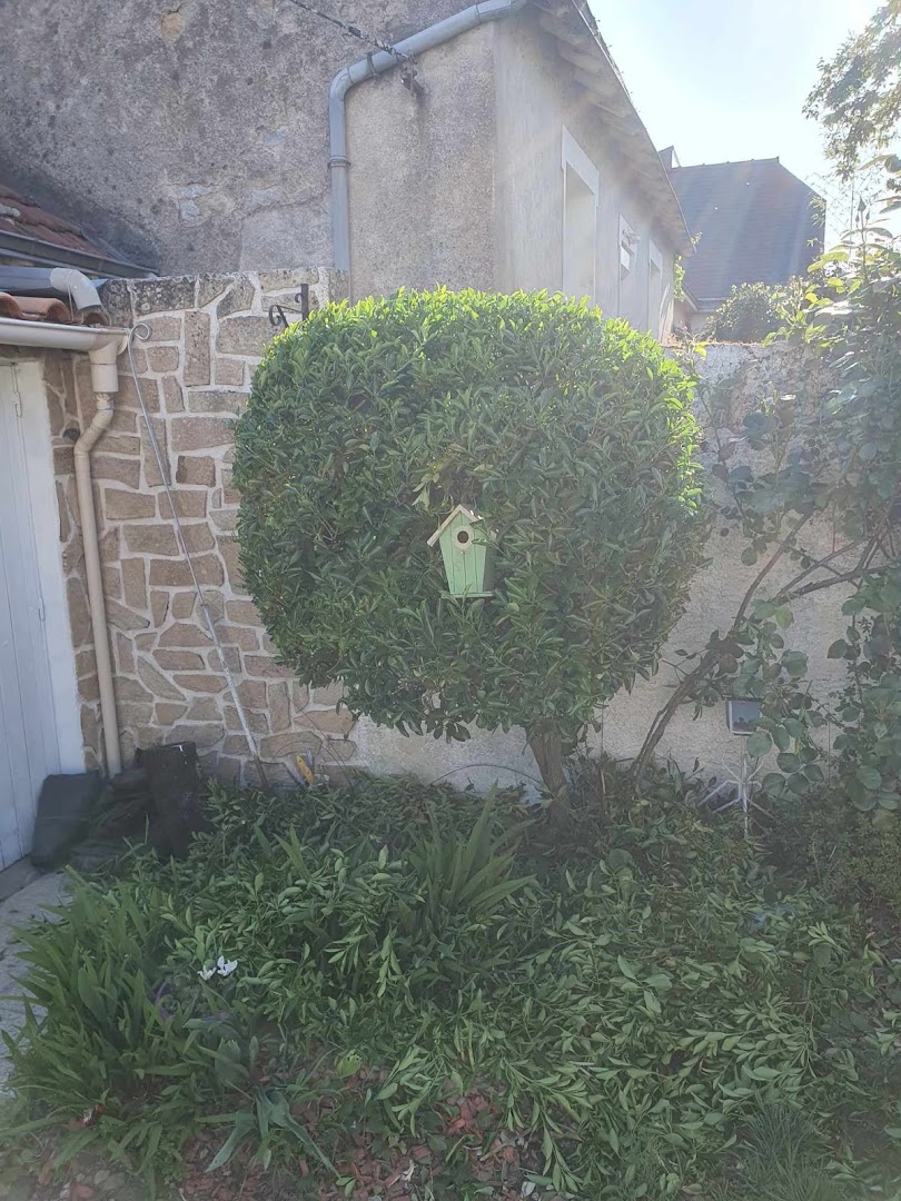 Multiservice l'atout-faire — Photos 14